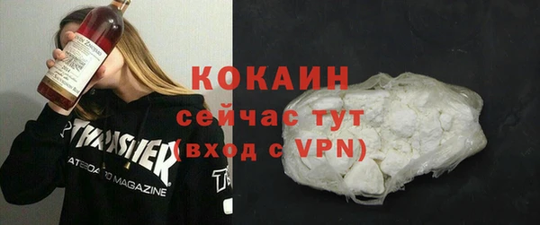 гашик Осташков