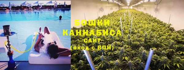 гашик Осташков
