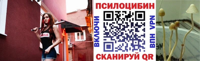 где купить наркоту  Зеленодольск  Галлюциногенные грибы Psilocybine cubensis 